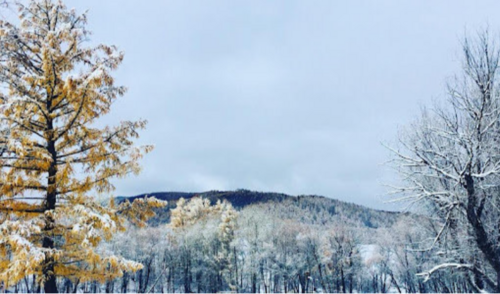 Өдөртөө -1...-3 хэмийн хүйтэн